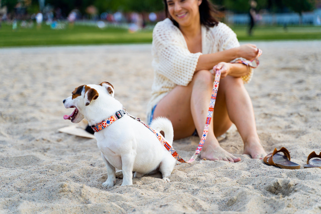 Dog Leash - Boho