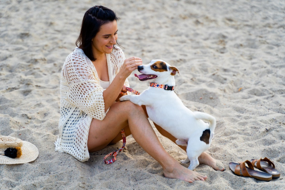 Quick Fastning Dog Collar - Boho