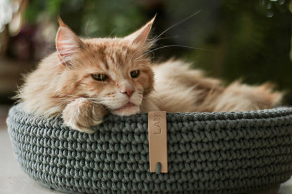 Coco Dog/Cat Bed - Green 
