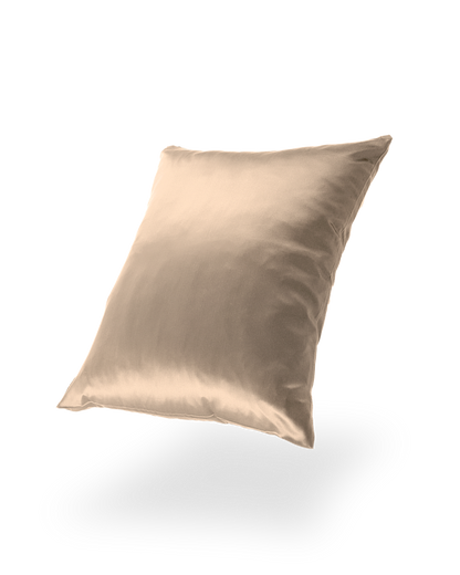 Mulberry Silk Pillowcase with Zipper, 22 Momme, 50×60