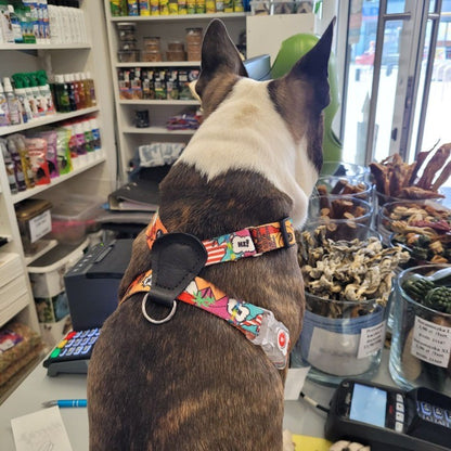 Harness With Leather – Travel