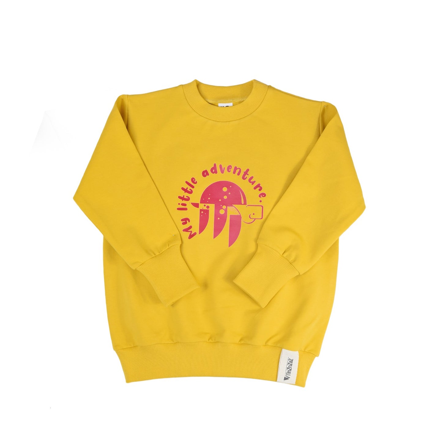 Kids Sweatshirt - Turtle Adventure
