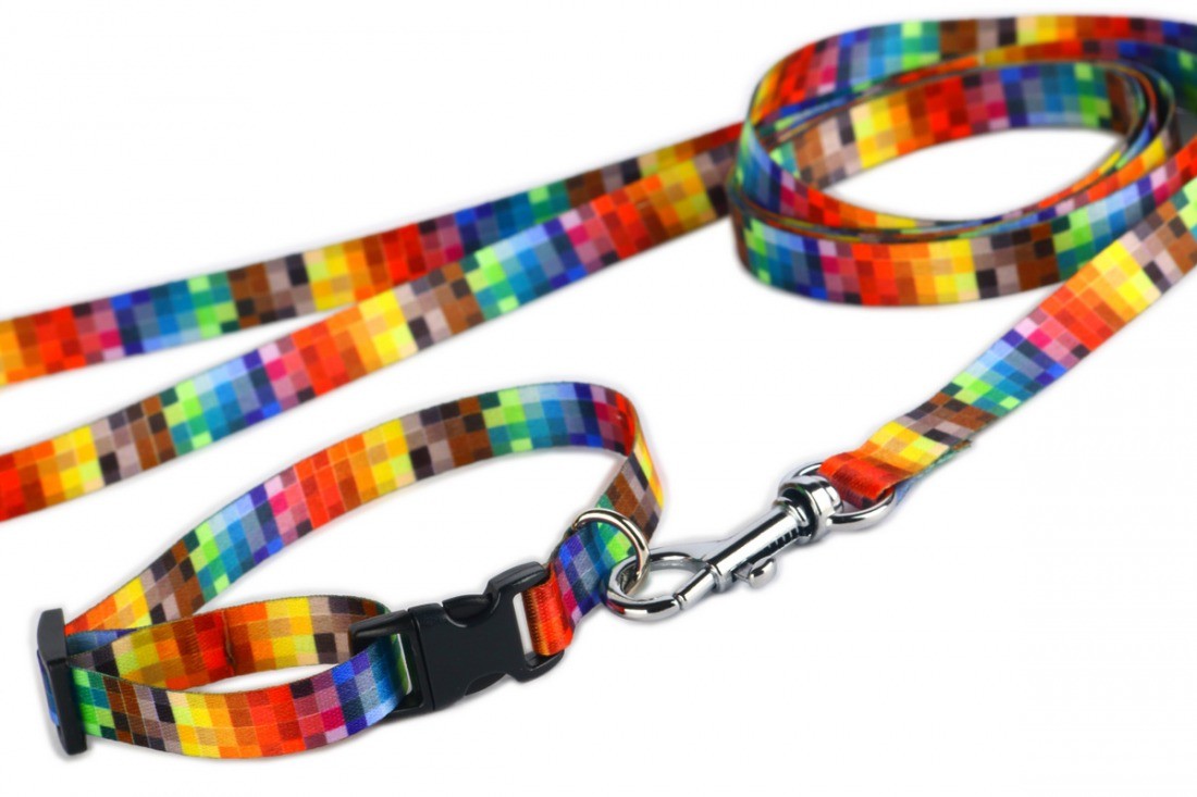 Leash - Pixels