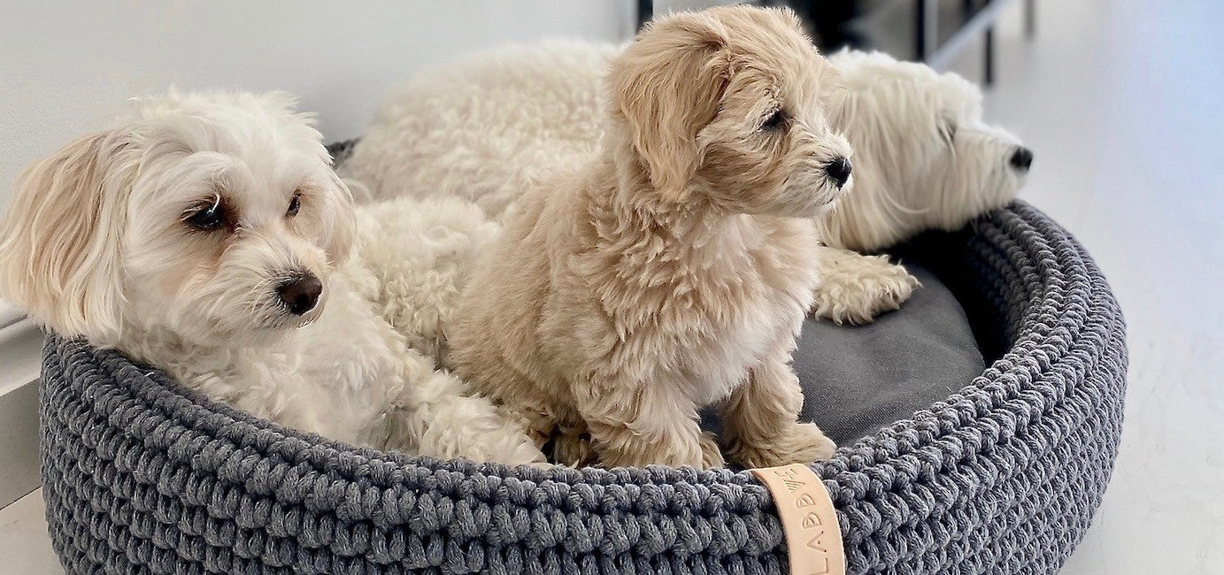 Lukko Dog Bed - Anthracite 