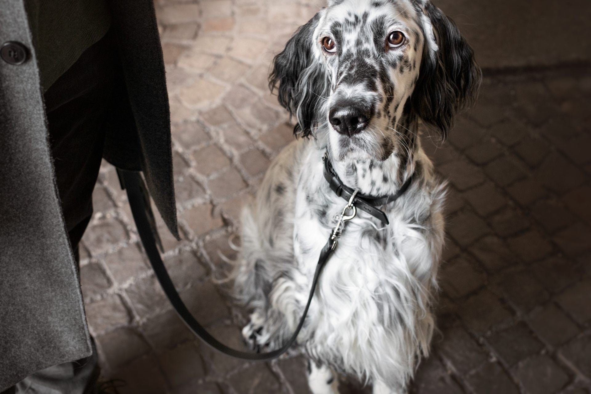 Lussa Leash - Black 