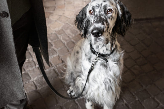 Lussa Leash - Black 