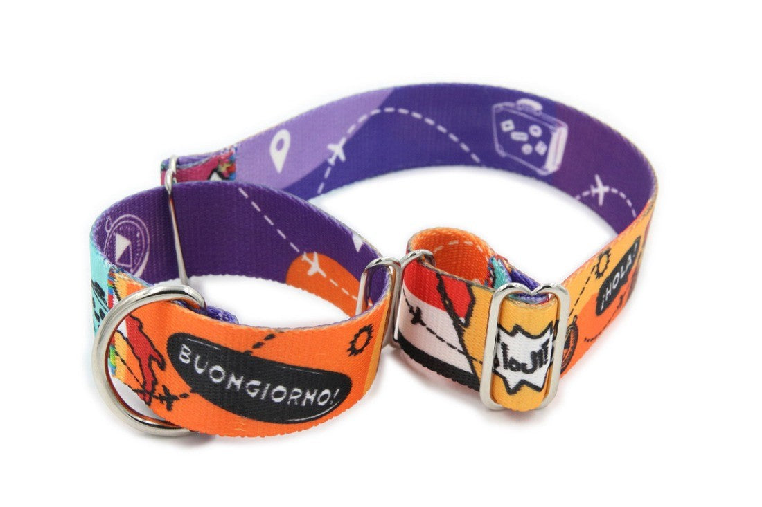 Martingale Collar – Travel