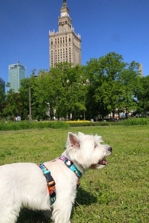 Nylon Harness – Travel