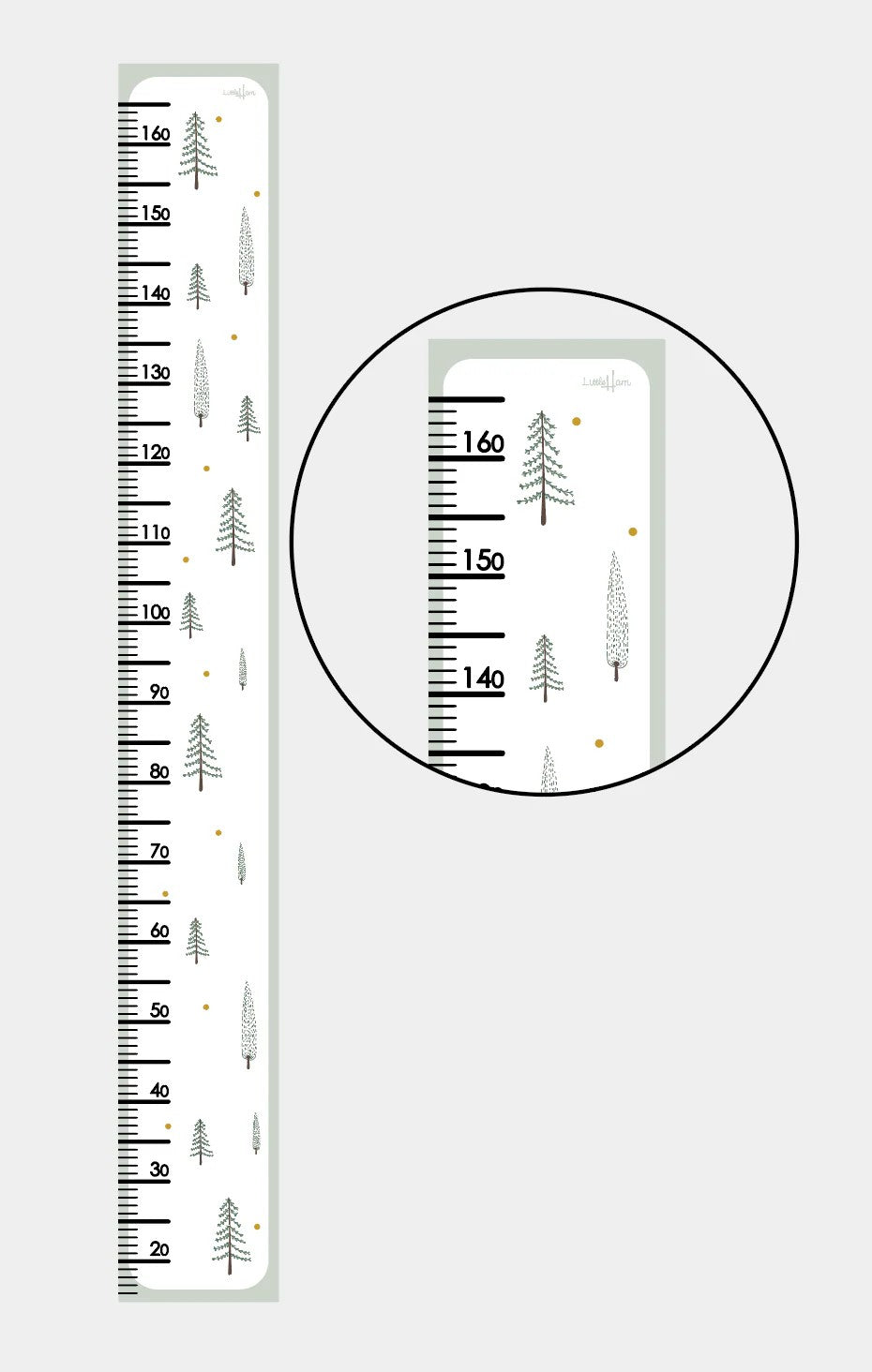 Paper Growth Chart For Kids - Fir Trees