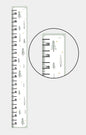 Paper Growth Chart For Kids - Fir Trees