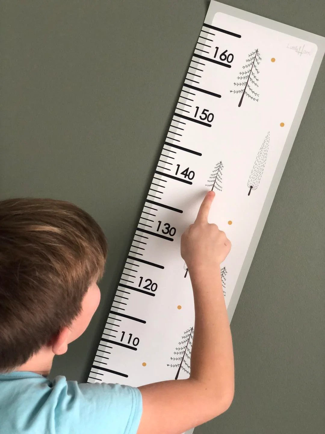 Paper Growth Chart For Kids - Fir Trees